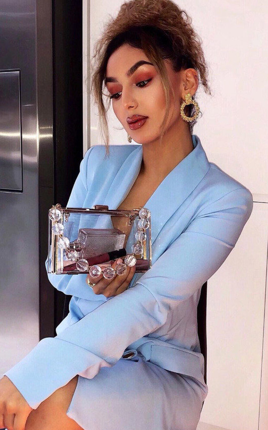 clear perspex clutch bag